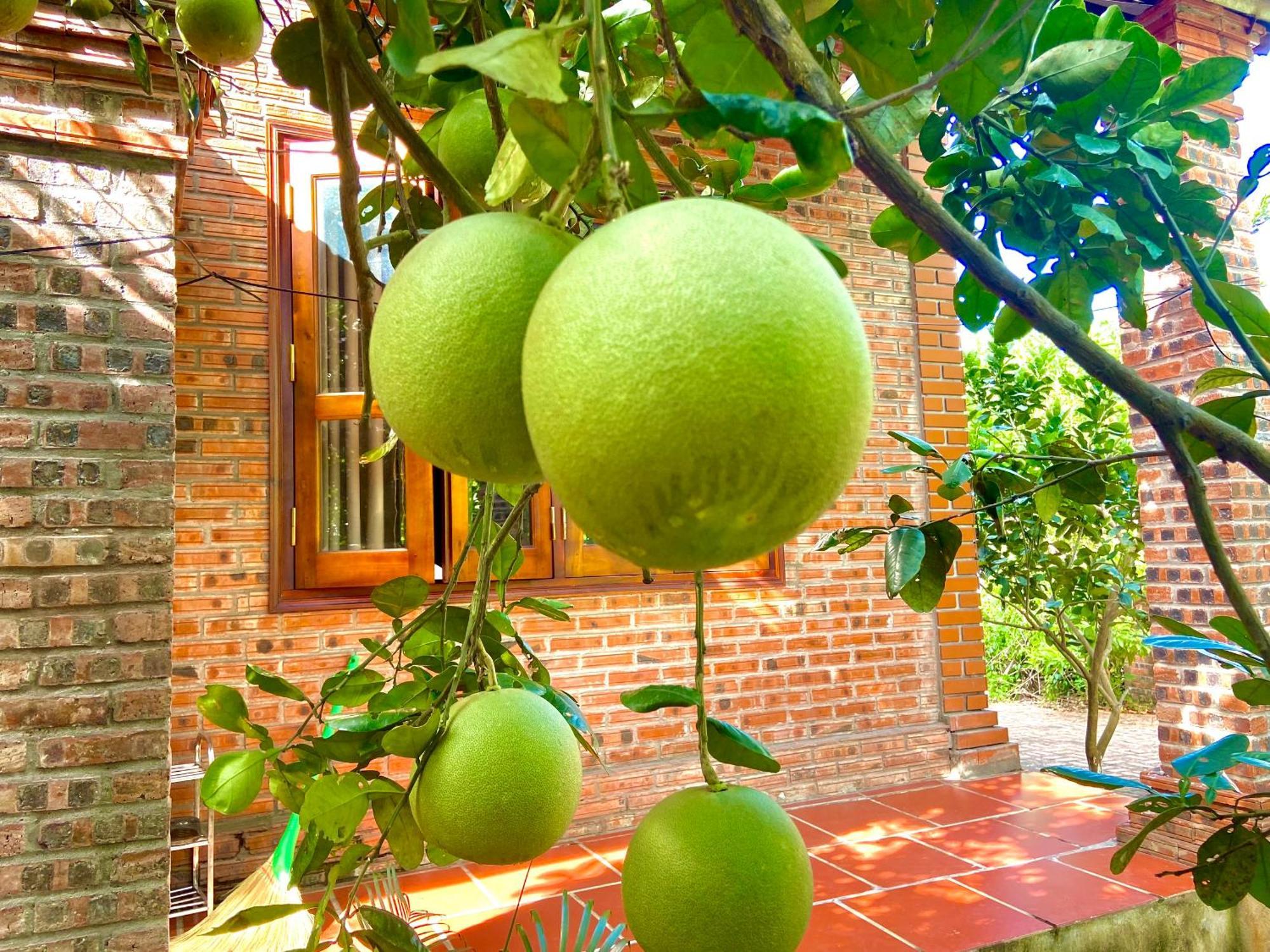 Ninh Binh Friendly Homestay Exterior foto
