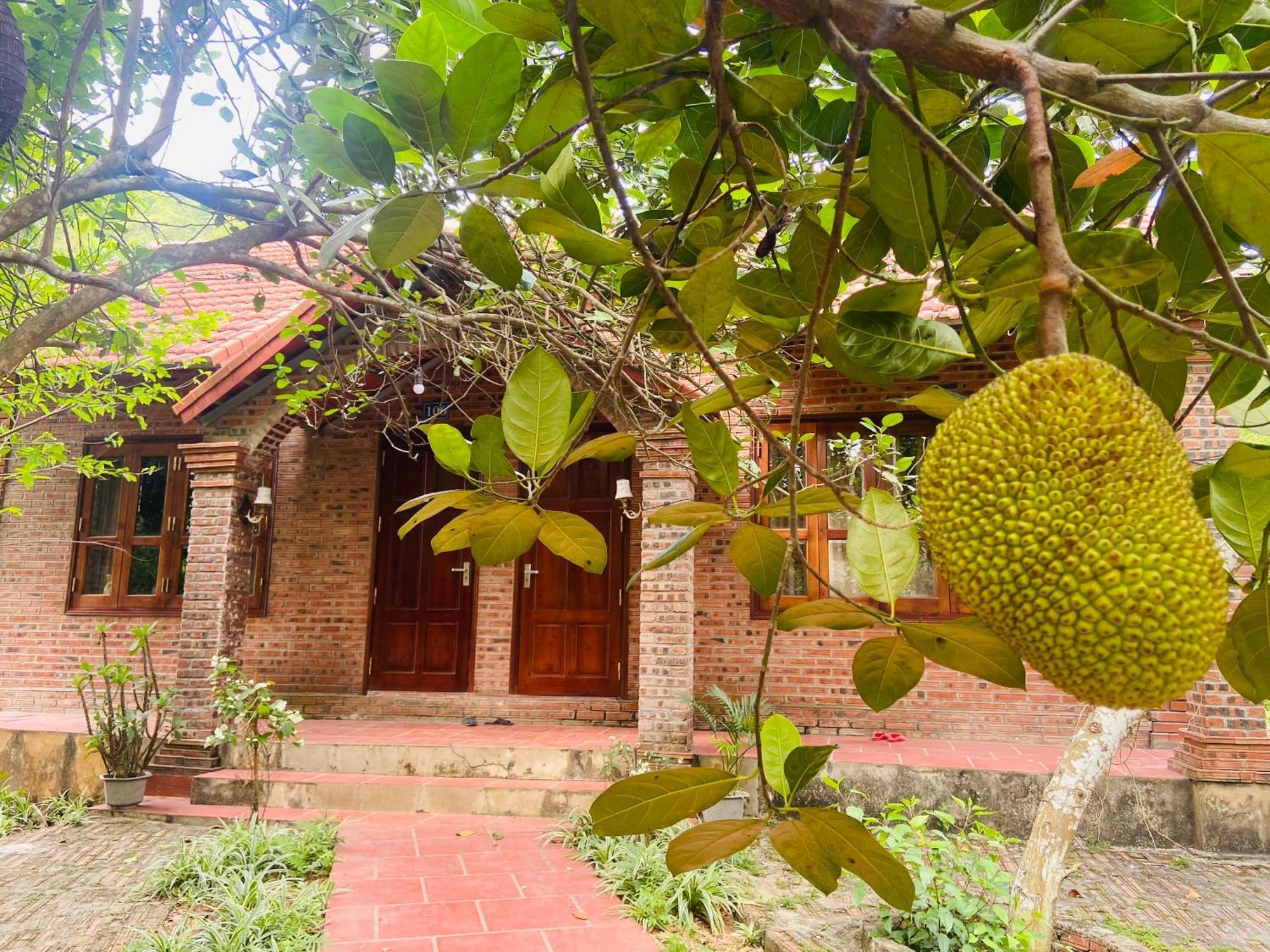 Ninh Binh Friendly Homestay Exterior foto