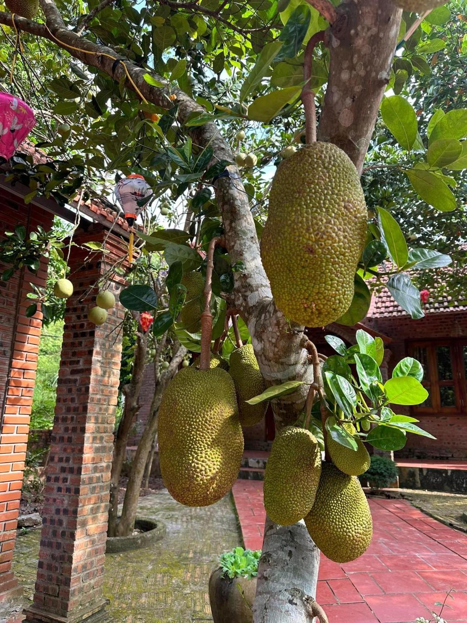 Ninh Binh Friendly Homestay Exterior foto